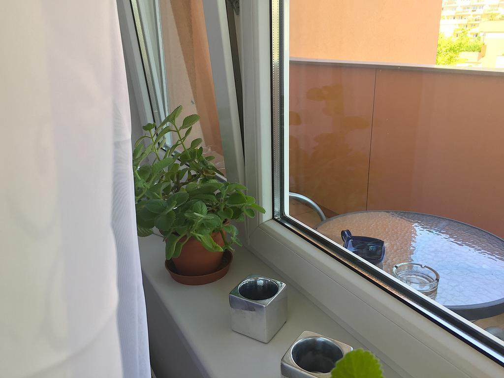 Apartment Lilly Όλομουτς Εξωτερικό φωτογραφία